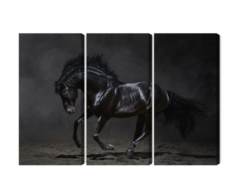 Ljuddämpande tavla - Black horse at a gallop