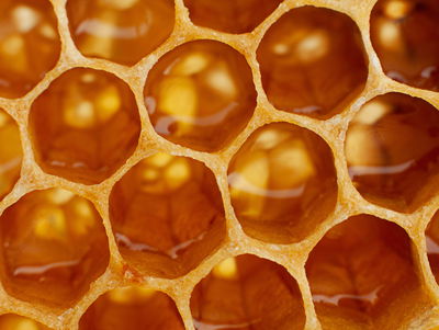 Ljuddämpande tavla - Honeycomb in macro scale