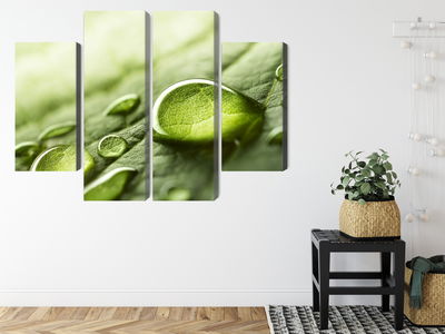 Ljuddämpande tavla - Water drops on a leaf