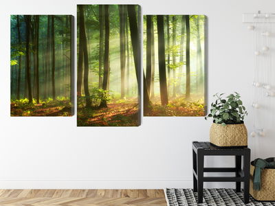 Ljuddämpande tavla - The rays of the sun