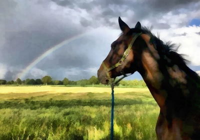 Ljuddämpande tavla - Horse in the meadow