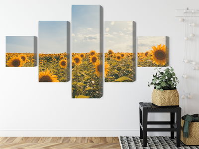 Ljuddämpande tavla - Sunflower field on a summer