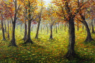 Ljuddämpande tavla - Autumn forest landscape