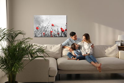 Ljuddämpande tavla - Red poppies on a black