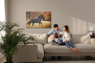 Ljuddämpande tavla - Black horse in the clearing