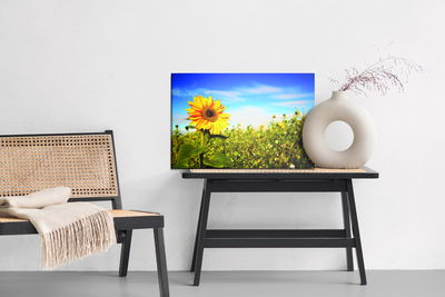 Ljuddämpande tavla - Sunflowers against the blue