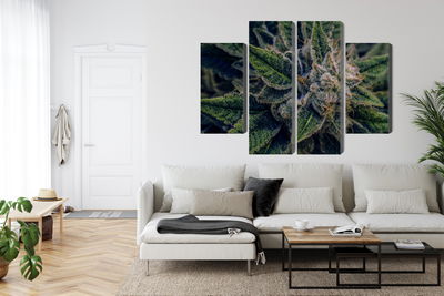 Ljuddämpande tavla - Cannabis plant close up