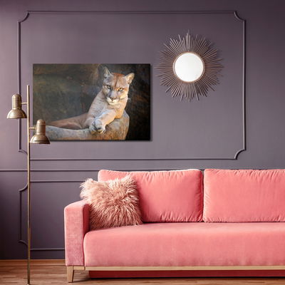 Ljuddämpande tavla - Puma in its natural habitat