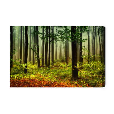 Ljuddämpande tavla - 3d forest landscape