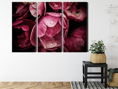 Ljuddämpande tavla - Peony flowers close up 3d