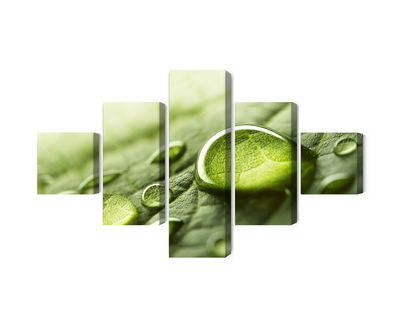 Ljuddämpande tavla - Water drops on a leaf