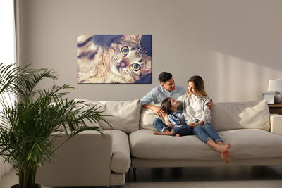 Ljuddämpande tavla - A beautiful feline portrait