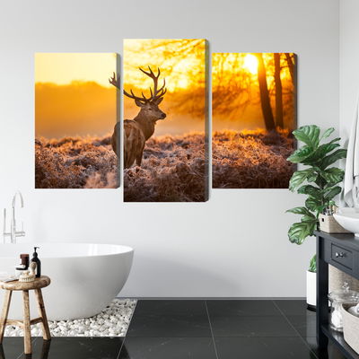 Ljuddämpande tavla - Deer in the forest at sunset