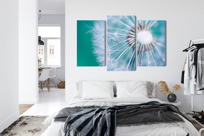 Ljuddämpande tavla - Dandelion on a macro scale