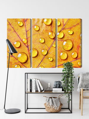 Ljuddämpande tavla - Water drops on an autumn