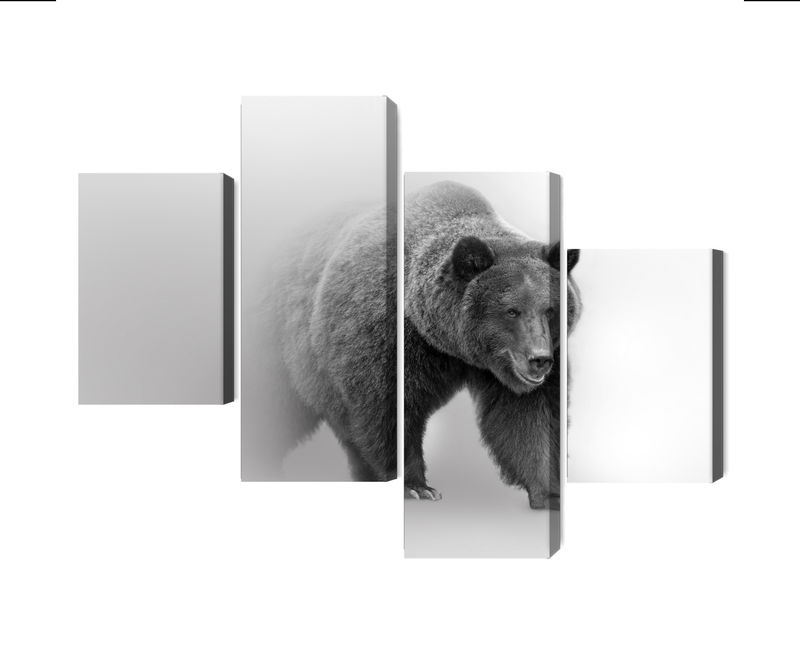 Ljuddämpande tavla - Bear in the fog 3d