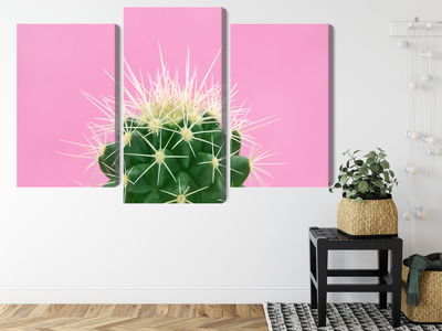 Ljuddämpande tavla - Cactus on a pink background
