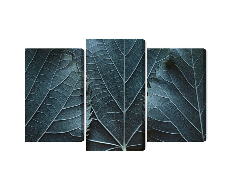 Ljuddämpande tavla - Leaves with a macro