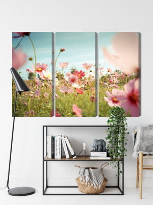 Ljuddämpande tavla - Cosmos flowers in the garden