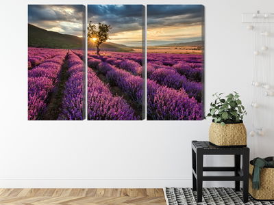 Ljuddämpande tavla - Lavender field at sunset 3d