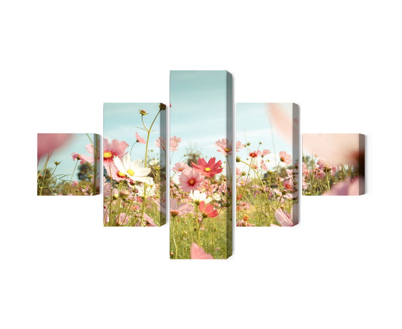 Ljuddämpande tavla - Cosmos flowers in the garden