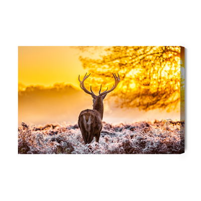 Ljuddämpande tavla - Deer at sunrise