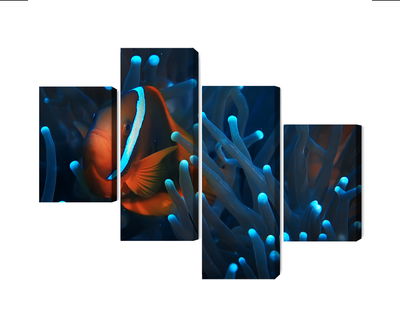 Ljuddämpande tavla - Clownfish in a 3d anemone