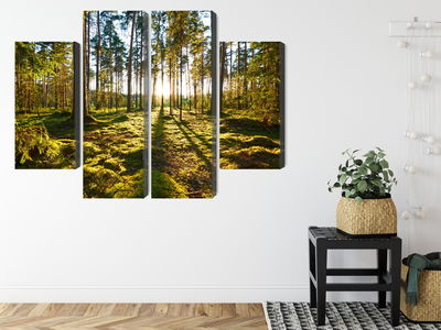 Ljuddämpande tavla - Forest landscape with sunset