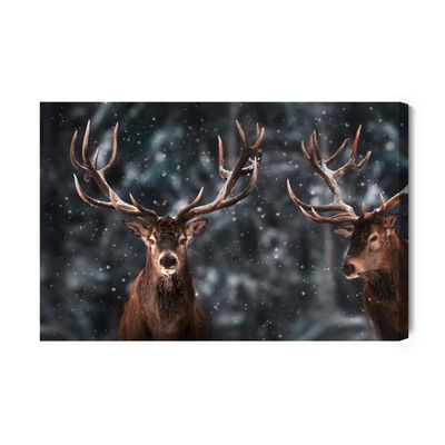 Ljuddämpande tavla - Two magnificent stags