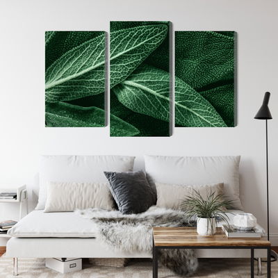 Ljuddämpande tavla - Salvia leaves on a macro