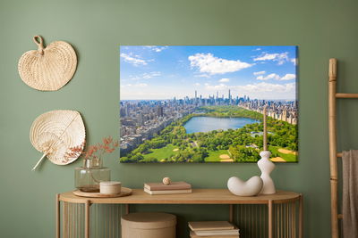 Ljuddämpande tavla - Aerial view of central park