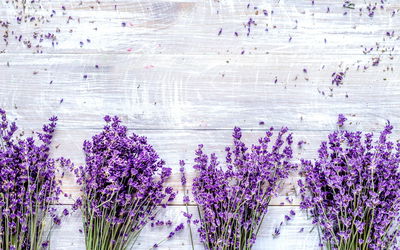 Ljuddämpande tavla - Lavender flowers on a rustic