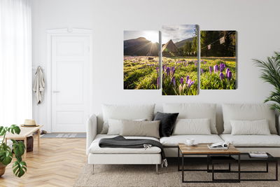 Ljuddämpande tavla - Chocholowska valley