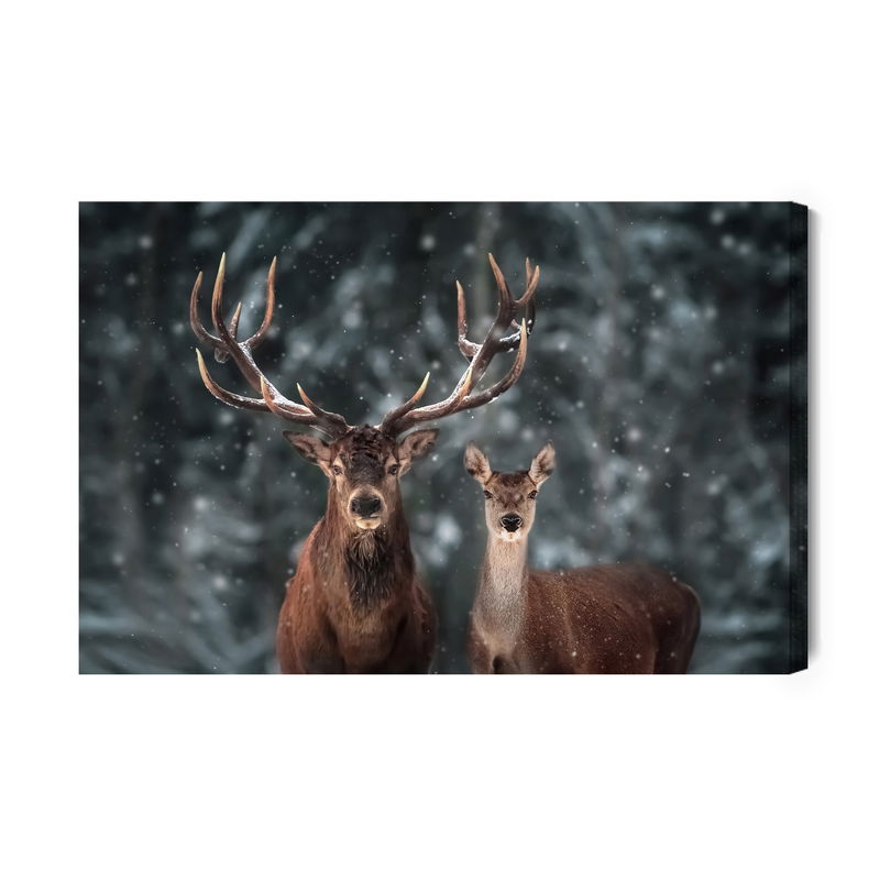 Ljuddämpande tavla - Deer and deer in winter