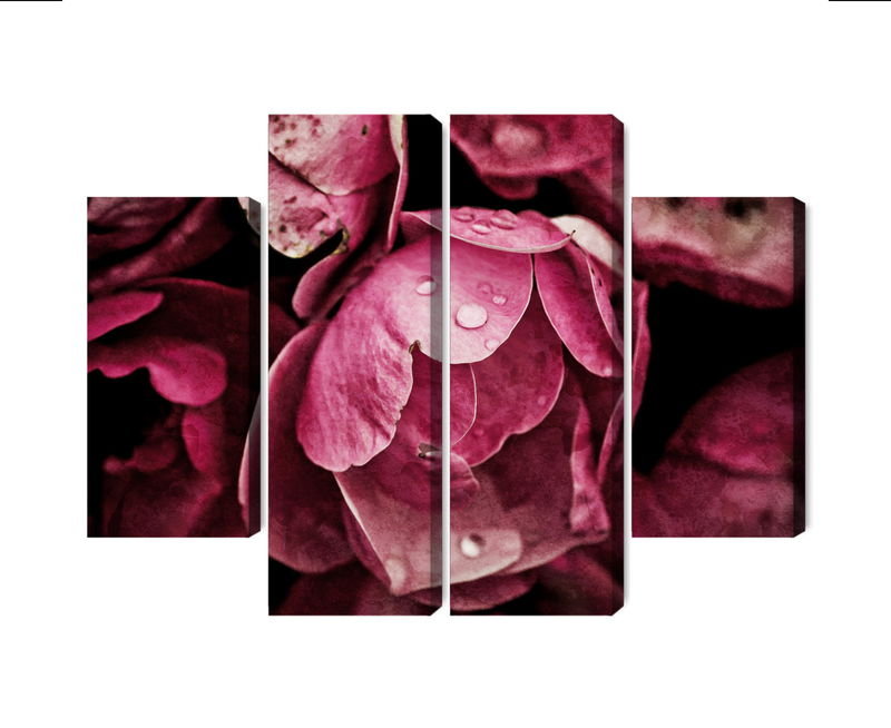 Ljuddämpande tavla - Peony flowers close up 3d