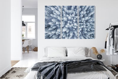 Ljuddämpande tavla - Aerial view of the winter