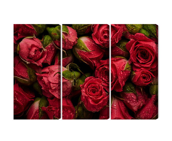 Ljuddämpande tavla - Roses with water drops