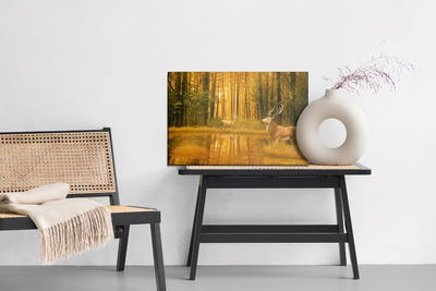 Ljuddämpande tavla - A deer by the lake