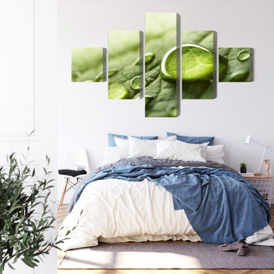 Ljuddämpande tavla - Water drops on a leaf