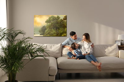 Ljuddämpande tavla - Cloudy day in the woods