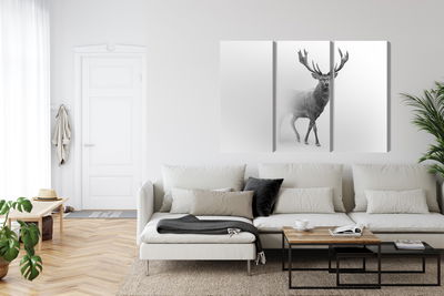 Ljuddämpande tavla - A stately deer in the fog