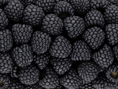 Ljuddämpande tavla - Blackberries on a macro scale