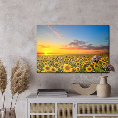 Ljuddämpande tavla - Sunset over a field