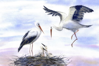 Ljuddämpande tavla - Stroch in aqaurell colours