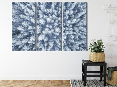 Ljuddämpande tavla - Aerial view of the winter