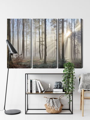 Ljuddämpande tavla - Sunrise in the woods