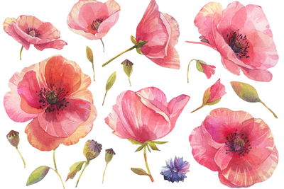 Ljuddämpande tavla - Wild poppies painted