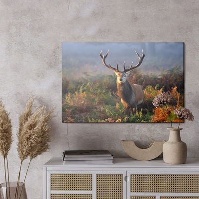 Ljuddämpande tavla - An impressive deer among