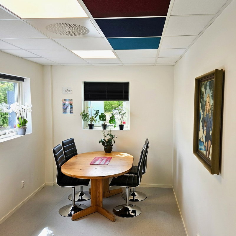 SilentDirect PES Fabric 592x592 ljudabsorbenter 50 mm monterade i bärverkstak i mötesrum