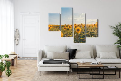 Ljuddämpande tavla - Sunflower field on a summer